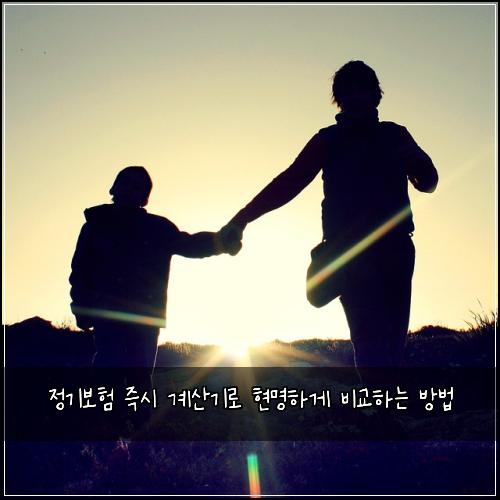 정기보험 즉시 계산기로 현명하게 비교하는 방법