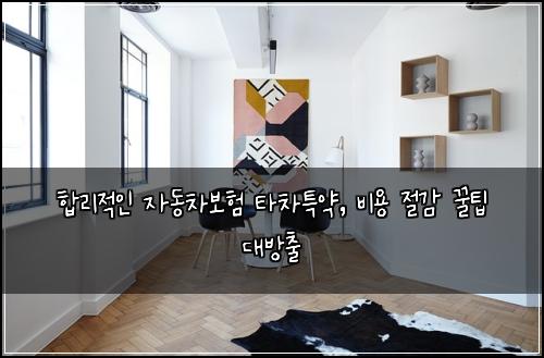  합리적인 자동차보험 타차특약, 비용 절감 꿀팁 대방출
