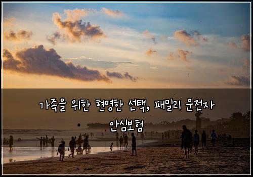  가족을 위한 현명한 선택, 패밀리 운전자 안심보험
