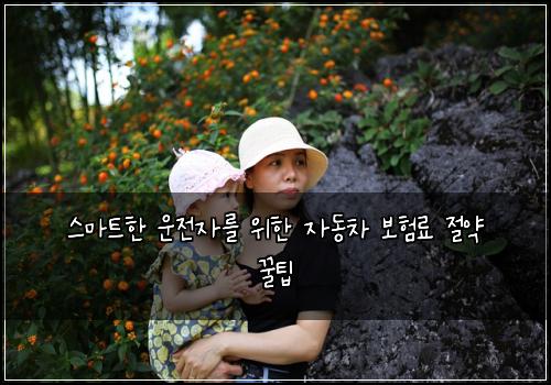  스마트한 운전자를 위한 자동차 보험료 절약 꿀팁