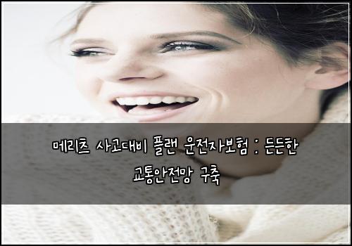 메리츠 사고대비 플랜 운전자보험 : 든든한 교통안전망 구축