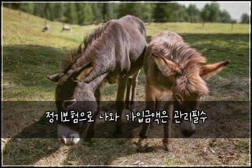 ์ ๊ธฐ๋ณดํ์ผ๋ก ๋์ ๊ฐ์
๊ธ์ก์ ๊ด๋ฆฌํ์