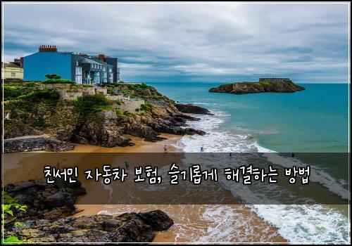 친서민 자동차 보험, 슬기롭게 해결하는 방법