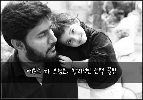 에쿠스 차 보험료, 합리적인 선택 꿀팁