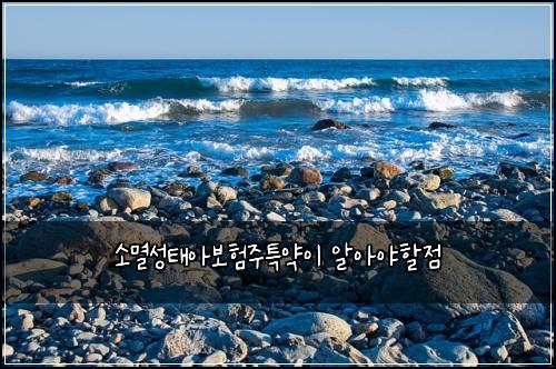소멸성태아보험주특약이 알아야할점