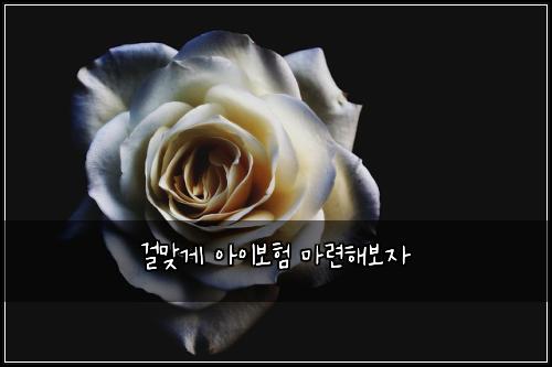 κ±Έλ§κ² μμ΄λ³΄ν λ§λ ¨ν΄λ³΄μ