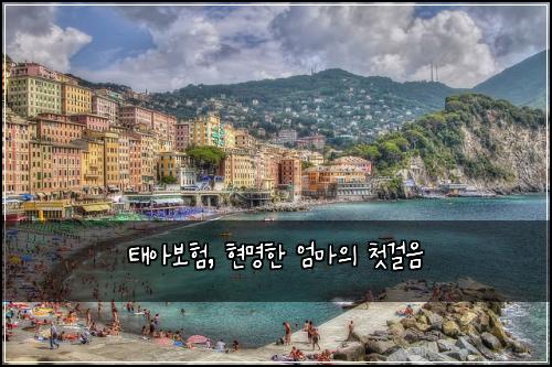 태아보험, 현명한 엄마의 첫걸음