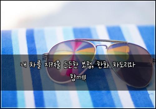  내 차를 지켜줄 든든한 보험, 한화 차도리와 함께!