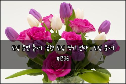 토익 문법 출제 경향 토익 찍기 전략 : 토익 문제 #1336