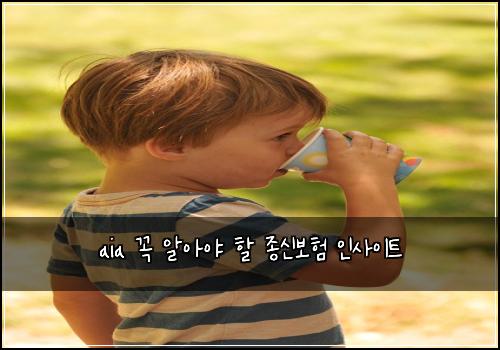 aia 꼭 알아야 할 종신보험 인사이트