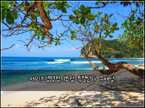 메리츠생명정기보험 특별인하  무배당