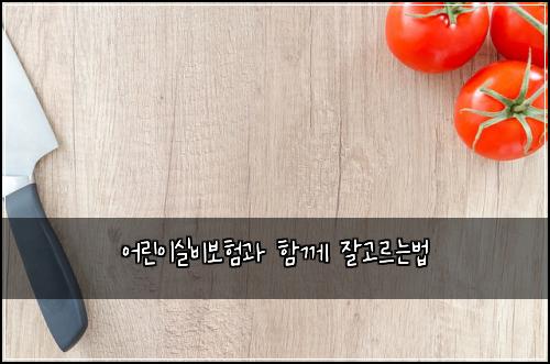 어린이실비보험과 함께 잘고르는법