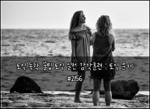 토익 독학 꿀팁 토익 실전 감각훈련 : 토익 문제 #2156