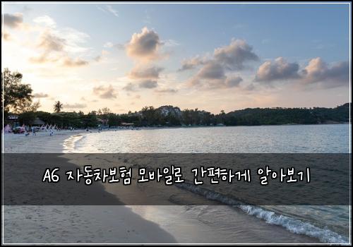  A6 자동차보험 모바일로 간편하게 알아보기