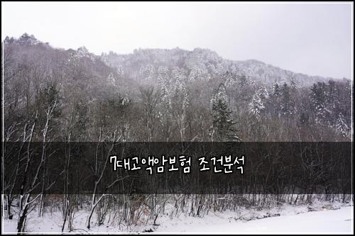 7대고액암보험 조건분석 