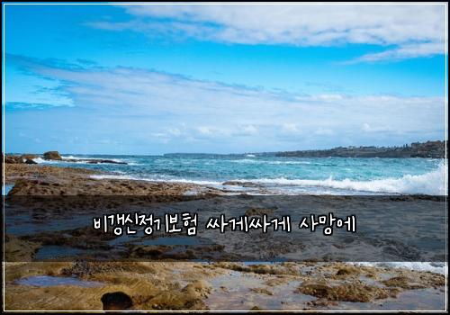 비갱신정기보험 싸게싸게  사망에
