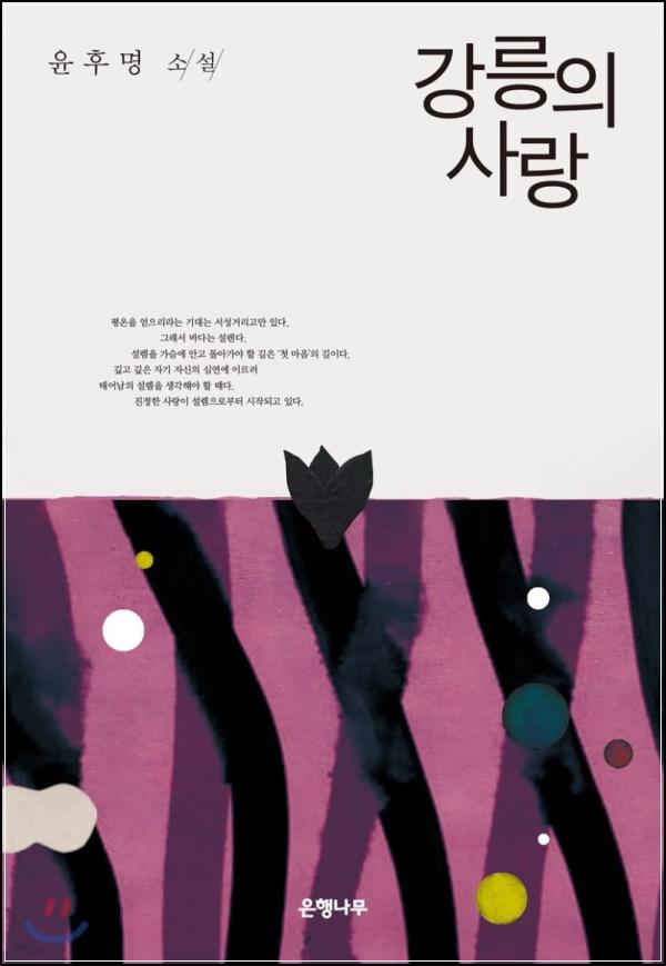 강릉의 사랑: 박경리 문학이 그린 애틋한 마음_61