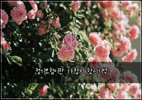 정기보험이란 가장이 항시기억