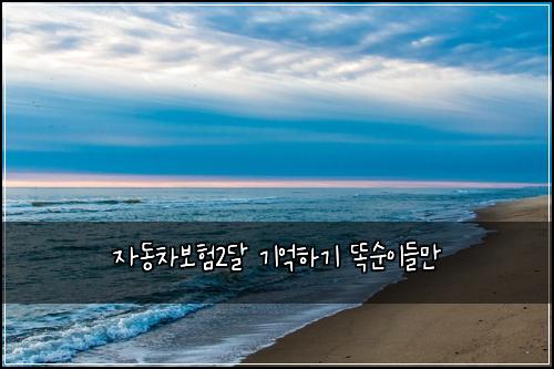 μλ차보ν2λ¬ κΈ°μ΅νκΈ° λμμ΄λ€λ§