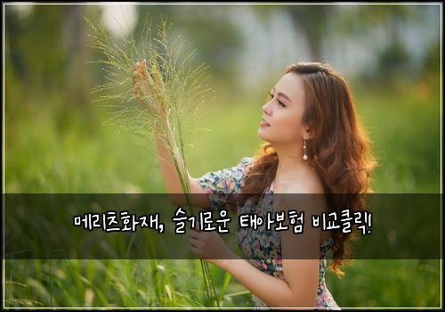 메리츠화재, 슬기로운 태아보험 비교클릭!