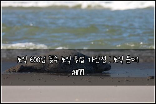 토익 600점 필수 토익 취업 가산점 : 토익 문제 #1177