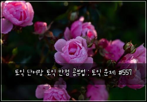 토익 단어장 토익 만점 공부법 : 토익 문제 #557