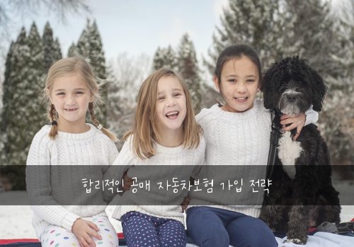  합리적인 공매 자동차보험 가입 전략