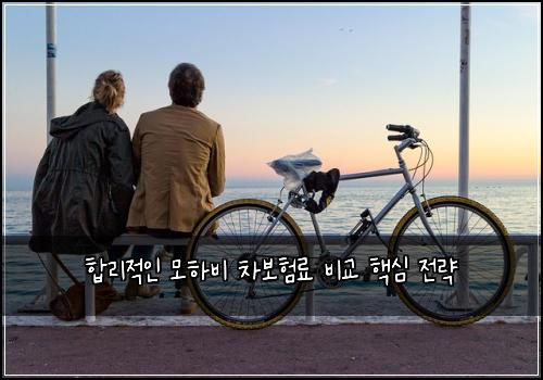  합리적인 모하비 차보험료 비교 핵심 전략