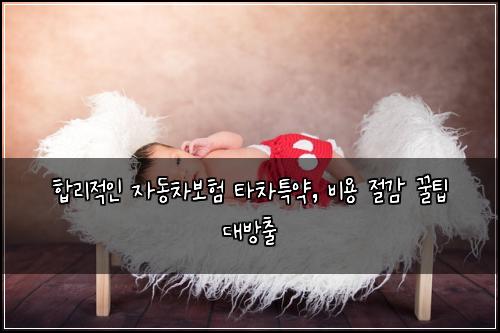  합리적인 자동차보험 타차특약, 비용 절감 꿀팁 대방출
