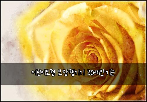 어린이보험 보장챙기기  30세만기는