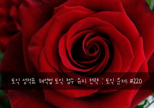 토익 성적표 해석법 토익 점수 유지 전략 : 토익 문제 #220