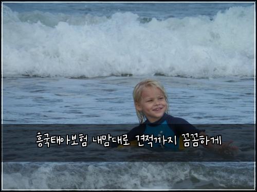 흥국태아보험 내맘대로  견적까지 꼼꼼하게