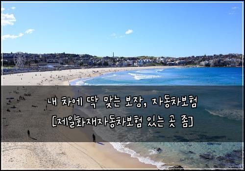  내 차에 딱 맞는 보장, 자동차보험 [제일화재자동차보험 있는 곳 좀]