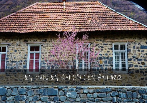 토익 스피킹 토익 응시 인원 : 토익 문제 #222