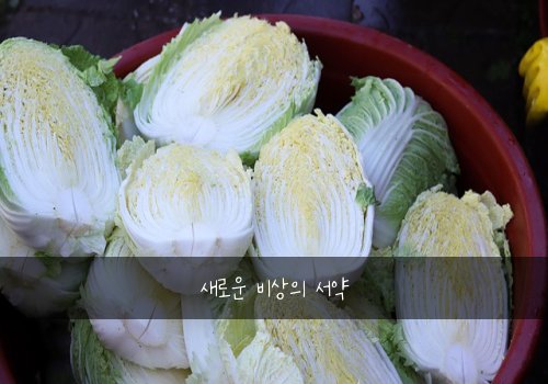 새로운 비상의 서약