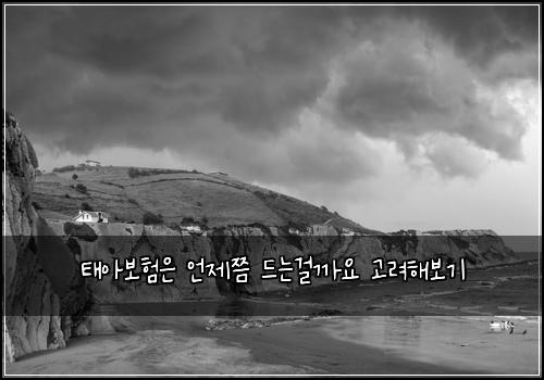 ํ์๋ณดํ์ ์ธ์ ์ฏค ๋๋๊ฑธ๊น์ ๊ณ ๋ คํด๋ณด๊ธฐ