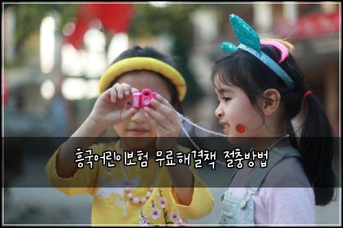 흥국어린이보험 무료해결책  절충방법