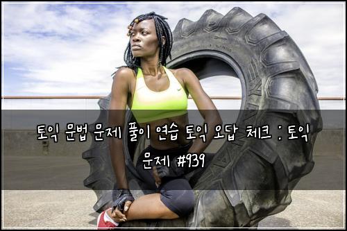 토익 문법 문제 풀이 연습 토익 오답 체크 : 토익 문제 #939