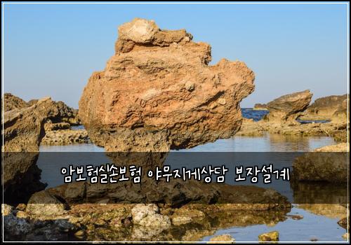 μ보νμ€μ보ν μΌλ¬΄μ§κ²μλ΄ λ³΄μ₯μ€κ³