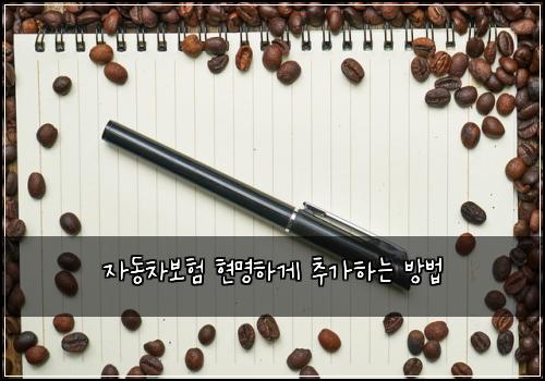 자동차보험 현명하게 추가하는 방법