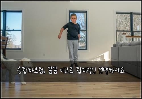 승합차보험, 꼼꼼 비교로 합리적인 선택하세요