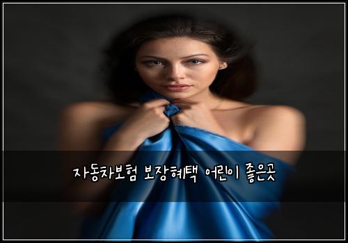 자동차보험 보장혜택  어린이 좋은곳