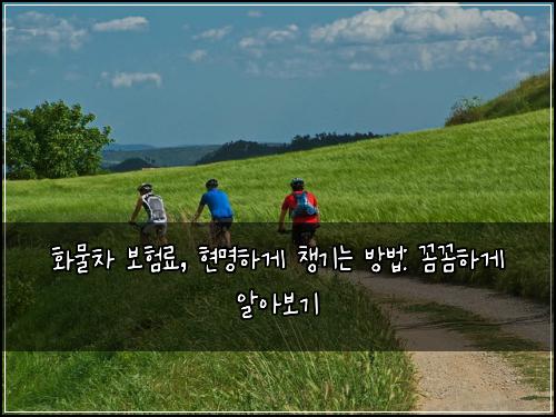 화물차 보험료, 현명하게 챙기는 방법: 꼼꼼하게 알아보기