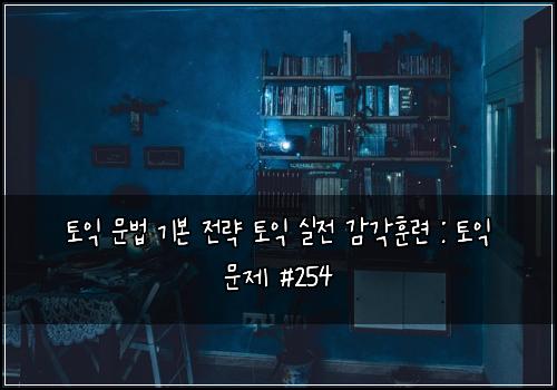 토익 문법 기본 전략 토익 실전 감각훈련 : 토익 문제 #254