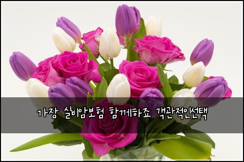 가장 실비암보험 함께하죠  객관적인선택