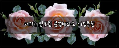 ๋ฉ๋ฆฌ์ธ ์๋ณดํ ๋ถ์ํด๋ด์ ๊ฐ์
์ถ์ฒ