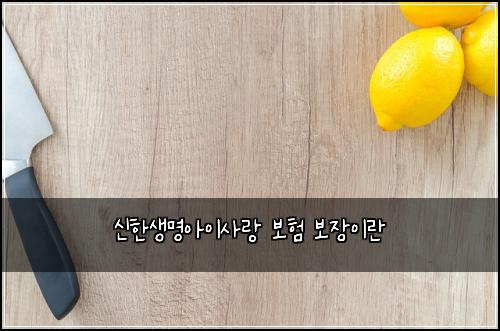 ์ ํ์๋ช
์์ด์ฌ๋ ๋ณดํ ๋ณด์ฅ์ด๋