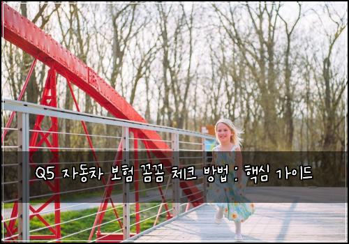 Q5 자동차 보험 꼼꼼 체크 방법 : 핵심 가이드
