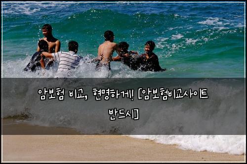 암보험 비교, 현명하게! [암보험비교사이트 반드시]