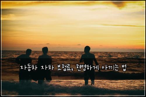 자동차 자차 보험료, 현명하게 아끼는 법